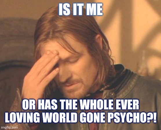 Frustrated Boromir | IS IT ME; OR HAS THE WHOLE EVER LOVING WORLD GONE PSYCHO?! | image tagged in memes,frustrated boromir | made w/ Imgflip meme maker