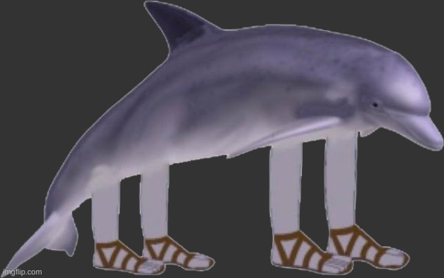 Richard, but transparent (save as .png) | image tagged in richard the dolphin transparent,religion | made w/ Imgflip meme maker