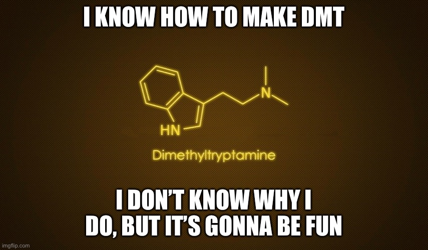 Oh yeah it’s gonna be so weird | I KNOW HOW TO MAKE DMT; I DON’T KNOW WHY I DO, BUT IT’S GONNA BE FUN | image tagged in drugs | made w/ Imgflip meme maker