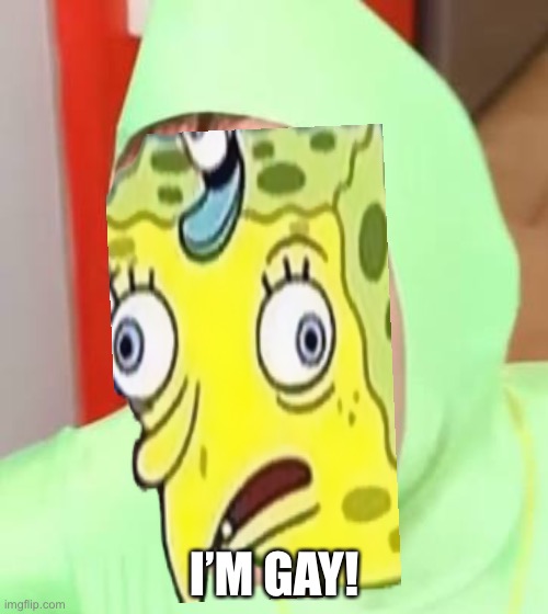 Funny Spongebob Memes Gay