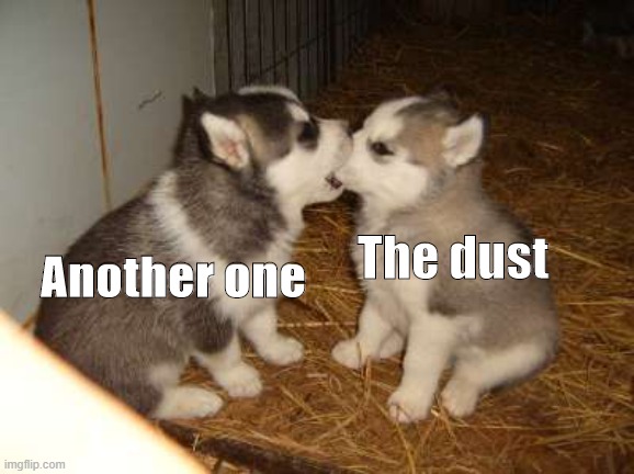 Cute Puppies Meme | The dust; Another one | image tagged in memes,cute puppies | made w/ Imgflip meme maker