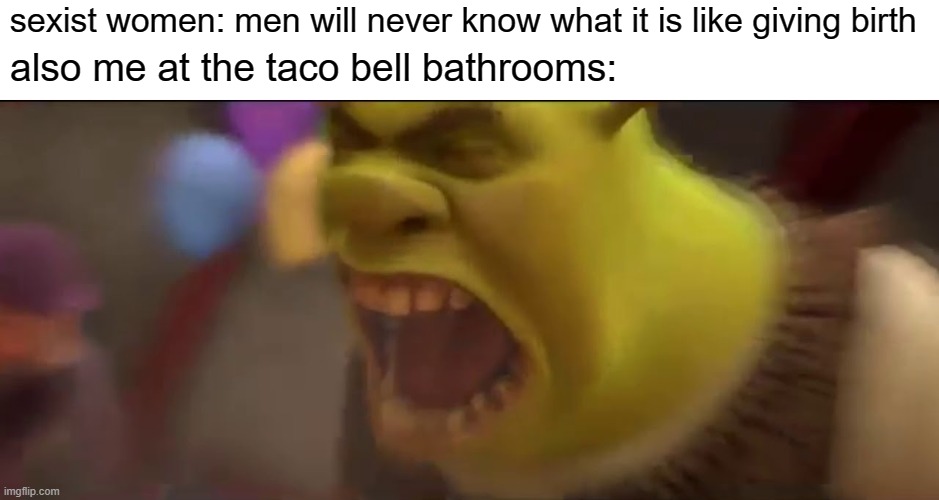 reeee | also me at the taco bell bathrooms:; sexist women: men will never know what it is like giving birth | image tagged in shrek,screaming,sexist,women | made w/ Imgflip meme maker