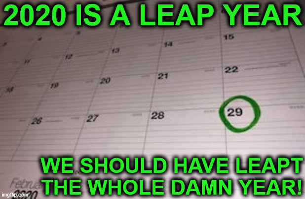 Feb 29th Leap Year Calendar | 2020 IS A LEAP YEAR; WE SHOULD HAVE LEAPT
THE WHOLE DAMN YEAR! | image tagged in memes,2020,first world problems,aint nobody got time for that,but thats none of my business,leap year | made w/ Imgflip meme maker