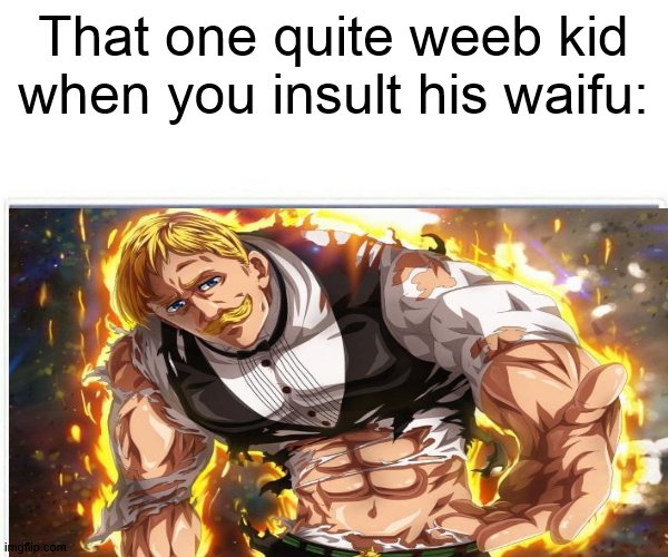 this stream hasn't been quite active | That one quite weeb kid when you insult his waifu: | image tagged in anime,escanor | made w/ Imgflip meme maker