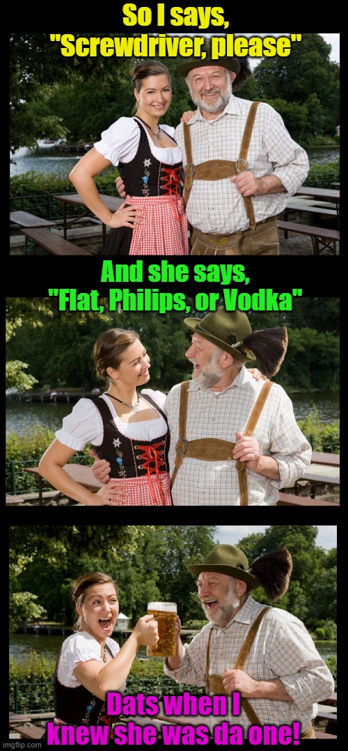 A rare find, indeed! | So I says, "Screwdriver, please"; And she says, "Flat, Philips, or Vodka"; Dats when I knew she was da one! | image tagged in funny,drinking,wife,relationships,married,husband | made w/ Imgflip meme maker