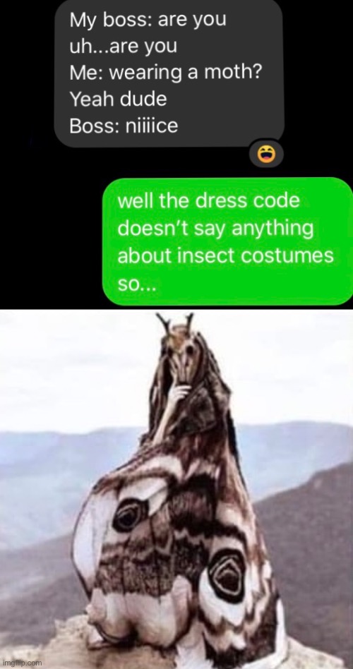 Mothman | image tagged in mothman,moth,workplace dresscode,dresscode,cloak | made w/ Imgflip meme maker