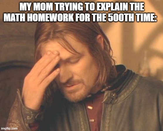 Frustrated Boromir | MY MOM TRYING TO EXPLAIN THE MATH HOMEWORK FOR THE 500TH TIME: | image tagged in memes,frustrated boromir | made w/ Imgflip meme maker