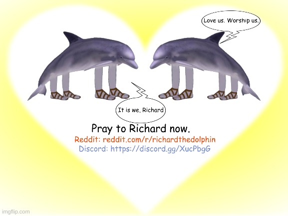 Richard promotional material I made | image tagged in richard the dolphin,promotion,reddit,discord,fun | made w/ Imgflip meme maker