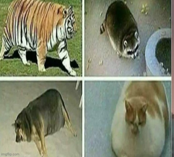 The four absolute units of the apocalypse | made w/ Imgflip meme maker