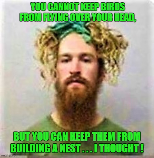 You can't stop birds from flying over your head, but not build nest | YOU CANNOT KEEP BIRDS FROM FLYING OVER YOUR HEAD, BUT YOU CAN KEEP THEM FROM BUILDING A NEST . . . I THOUGHT ! | image tagged in funny meme,antifa,bird,nest,head | made w/ Imgflip meme maker