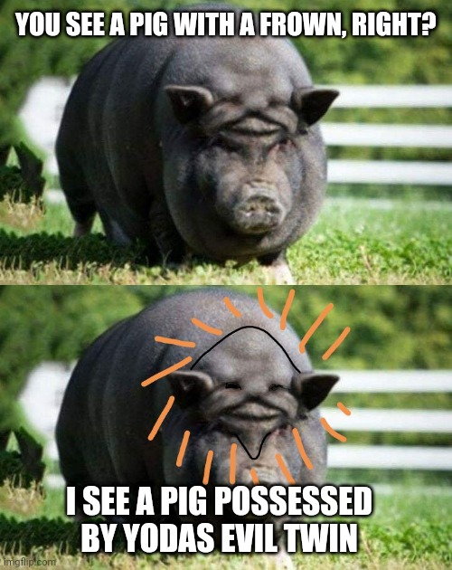 Possessed pig | YOU SEE A PIG WITH A FROWN, RIGHT? I SEE A PIG POSSESSED BY YODAS EVIL TWIN | image tagged in yoda,pig,possessed,evil,twins | made w/ Imgflip meme maker
