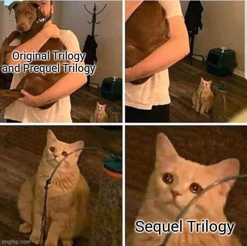 The outliers of the saga | Original Trilogy and Prequel Trilogy; Sequel Trilogy | image tagged in cat left out crying,memes,funny,star wars | made w/ Imgflip meme maker