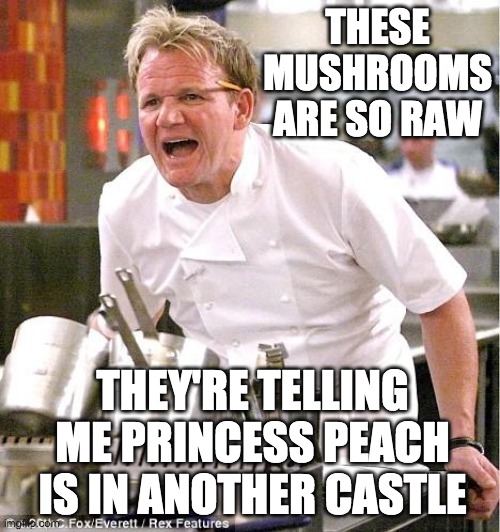 Feels good to be back on the fun stream | THESE MUSHROOMS ARE SO RAW; THEY'RE TELLING ME PRINCESS PEACH IS IN ANOTHER CASTLE | image tagged in memes,chef gordon ramsay,funny,mushrooms,mario,princess peach | made w/ Imgflip meme maker