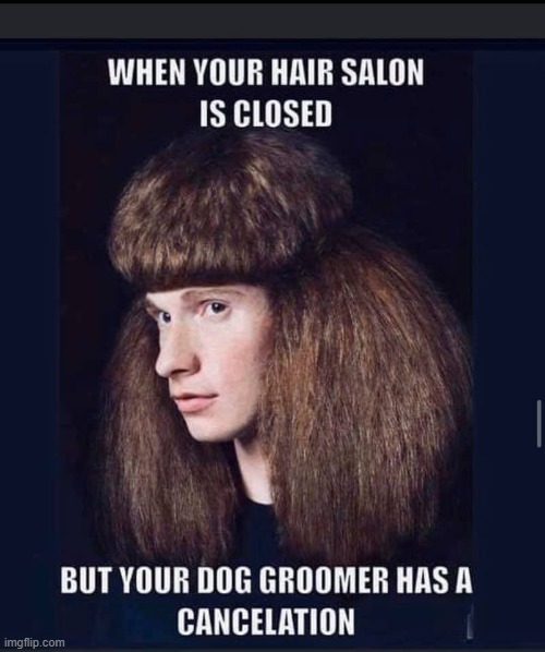 bad hair day | image tagged in bad hair day | made w/ Imgflip meme maker