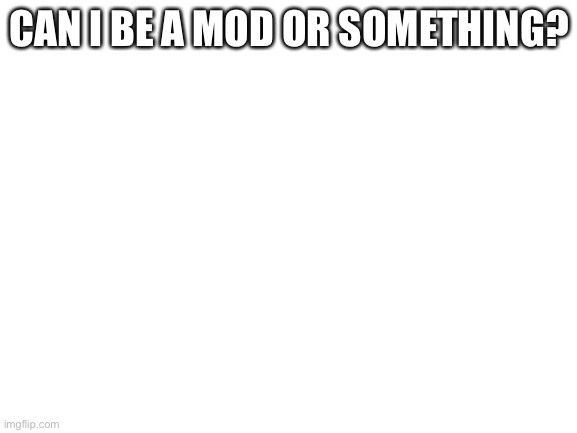 I love this concept | CAN I BE A MOD OR SOMETHING? | image tagged in blank white template | made w/ Imgflip meme maker