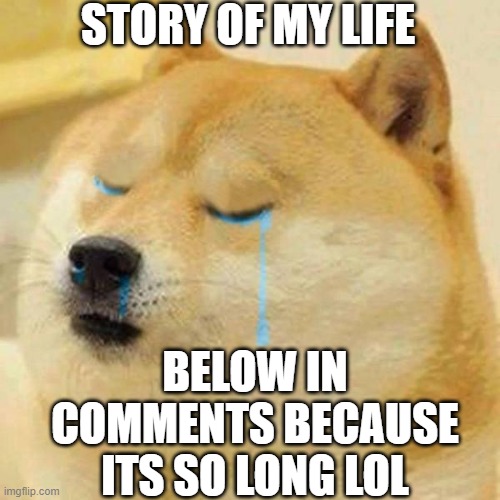 crying doge | STORY OF MY LIFE; BELOW IN COMMENTS BECAUSE ITS SO LONG LOL | image tagged in crying doge | made w/ Imgflip meme maker