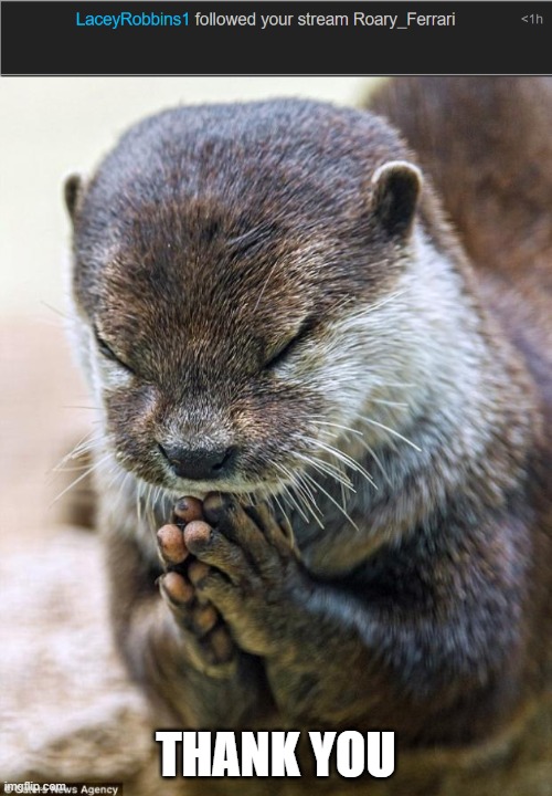 thxxxxxxxxxxxxx | THANK YOU | image tagged in thank you lord otter | made w/ Imgflip meme maker