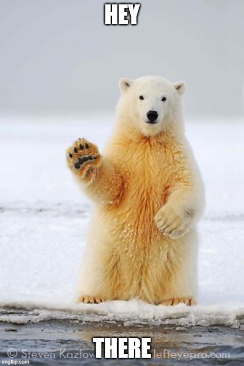 Hello there | HEY; THERE | image tagged in hello polar bear | made w/ Imgflip meme maker