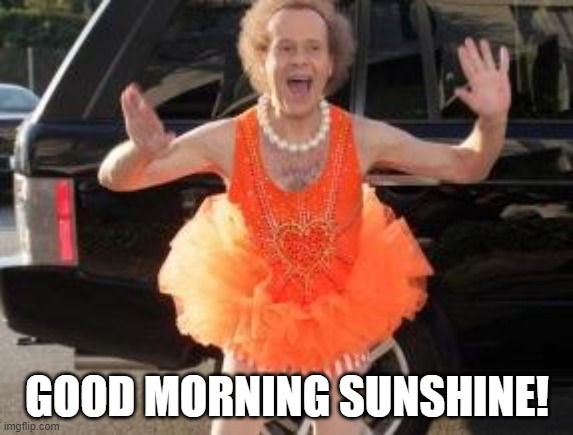 Richard simmons | GOOD MORNING SUNSHINE! | image tagged in richard simmons | made w/ Imgflip meme maker