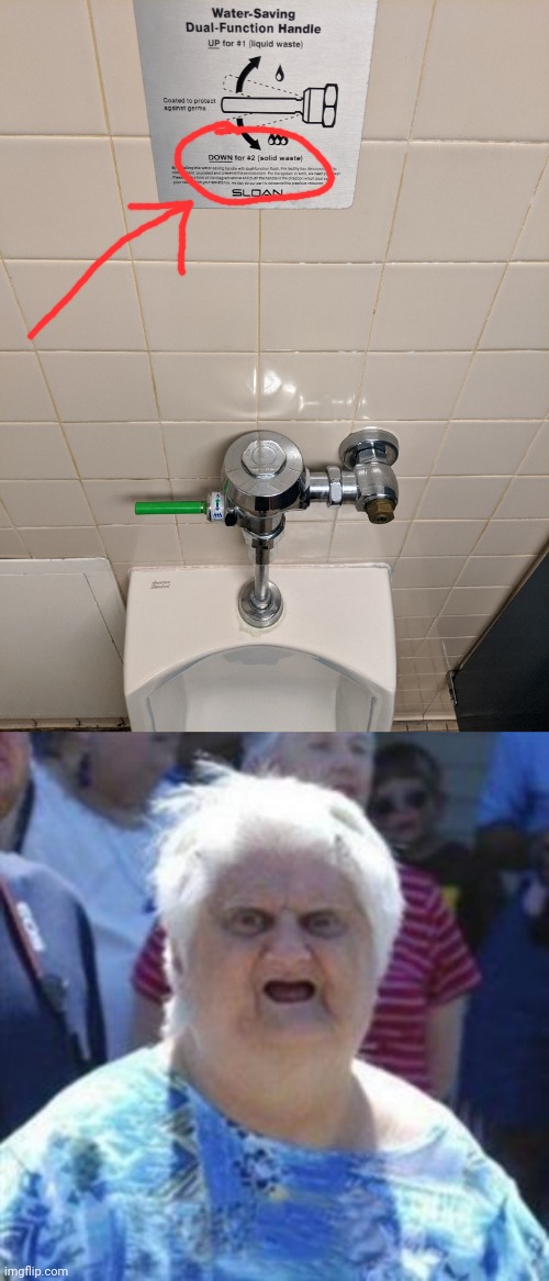 They installed this special green handle for covid | image tagged in wat lady,covid-19,coronavirus,urinal | made w/ Imgflip meme maker