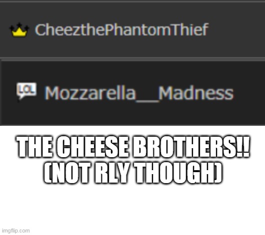 THE CHEESE BROTHERS!!
(NOT RLY THOUGH) | image tagged in blank white template | made w/ Imgflip meme maker