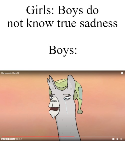 Girls: Boys do not know true sadness; Boys: | image tagged in llamas with hats,boys vs girls | made w/ Imgflip meme maker