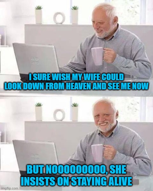 Give it some time Harold...Good things come to those who wait. | I SURE WISH MY WIFE COULD LOOK DOWN FROM HEAVEN AND SEE ME NOW; BUT NOOOOOOOOO, SHE INSISTS ON STAYING ALIVE | image tagged in memes,hide the pain harold,marriage,funny,patience,good things come to those who wait | made w/ Imgflip meme maker