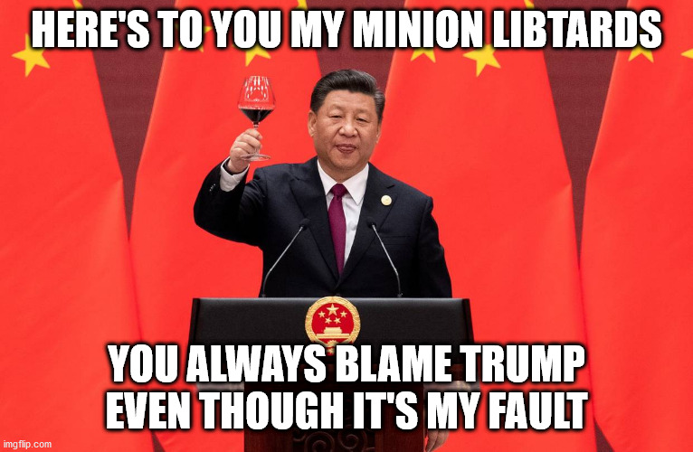 HERE'S TO YOU MY MINION LIBTARDS YOU ALWAYS BLAME TRUMP EVEN THOUGH IT'S MY FAULT | made w/ Imgflip meme maker