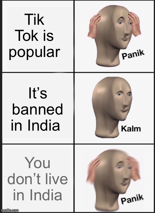 ? D K | Tik Tok is popular; It’s banned in India; You don’t live in India | image tagged in memes,panik kalm panik | made w/ Imgflip meme maker