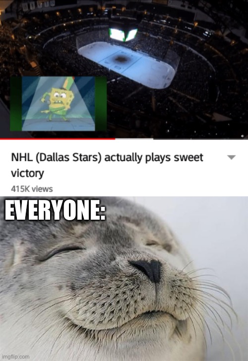 We’ve given up on NFL. NHL is our new hero. | EVERYONE: | image tagged in memes,satisfied seal,sweet victory,nhl | made w/ Imgflip meme maker