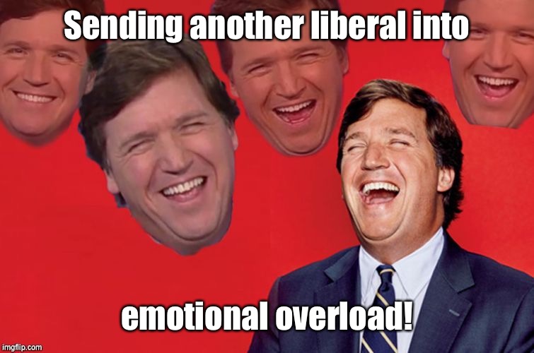 Tucker laughs at libs | Sending another liberal into emotional overload! | image tagged in tucker laughs at libs | made w/ Imgflip meme maker