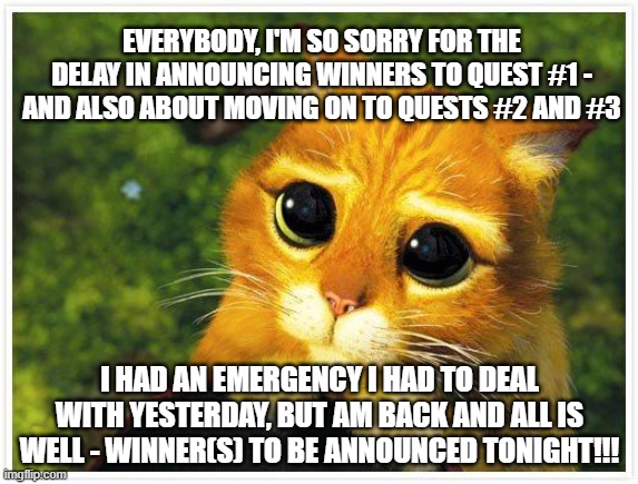 REALLY Sorry for the Delay - Please Don't Leave Me - Give Me Another Chance!  ...  That's What She Said... | EVERYBODY, I'M SO SORRY FOR THE DELAY IN ANNOUNCING WINNERS TO QUEST #1 - AND ALSO ABOUT MOVING ON TO QUESTS #2 AND #3; I HAD AN EMERGENCY I HAD TO DEAL WITH YESTERDAY, BUT AM BACK AND ALL IS WELL - WINNER(S) TO BE ANNOUNCED TONIGHT!!! | image tagged in sorry kitty | made w/ Imgflip meme maker