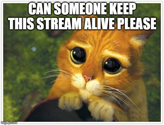 Shrek Cat | CAN SOMEONE KEEP THIS STREAM ALIVE PLEASE | image tagged in memes,shrek cat | made w/ Imgflip meme maker