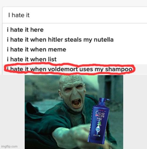 Why Does He Even Use Shampoo? | image tagged in harry potter,voldemort,shampoo,google search | made w/ Imgflip meme maker