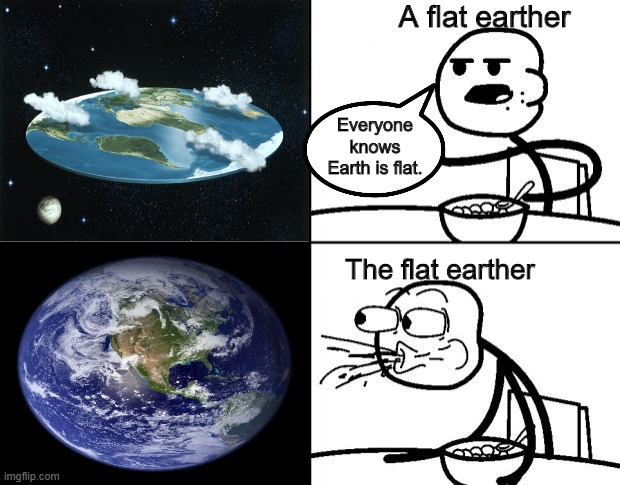 The Earth is obviously a sphere | A flat earther; Everyone knows Earth is flat. The flat earther | image tagged in blank cereal guy,flat earth,memes,pie charts,flat earthers | made w/ Imgflip meme maker
