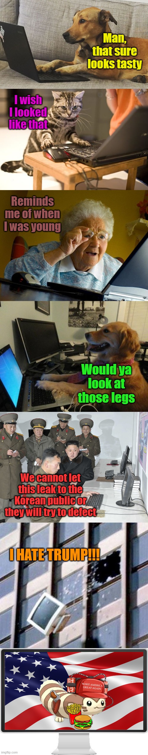 I love America | Man, that sure looks tasty; I wish I looked like that; Reminds me of when I was young; Would ya look at those legs; We cannot let this leak to the Korean public or they will try to defect; I HATE TRUMP!!! | image tagged in memes,grandma finds the internet,computer out window,dog behind a computer,cat computer,computer screen | made w/ Imgflip meme maker