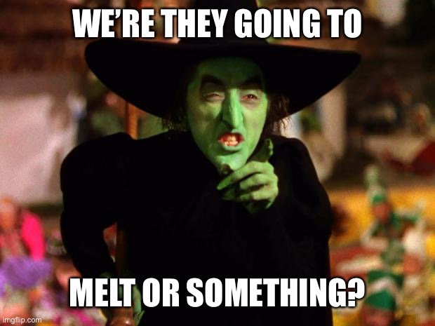 WE’RE THEY GOING TO MELT OR SOMETHING? | image tagged in wicked witch | made w/ Imgflip meme maker