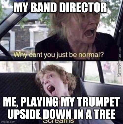 Why Can't You Just Be Normal | MY BAND DIRECTOR; ME, PLAYING MY TRUMPET UPSIDE DOWN IN A TREE | image tagged in why can't you just be normal | made w/ Imgflip meme maker