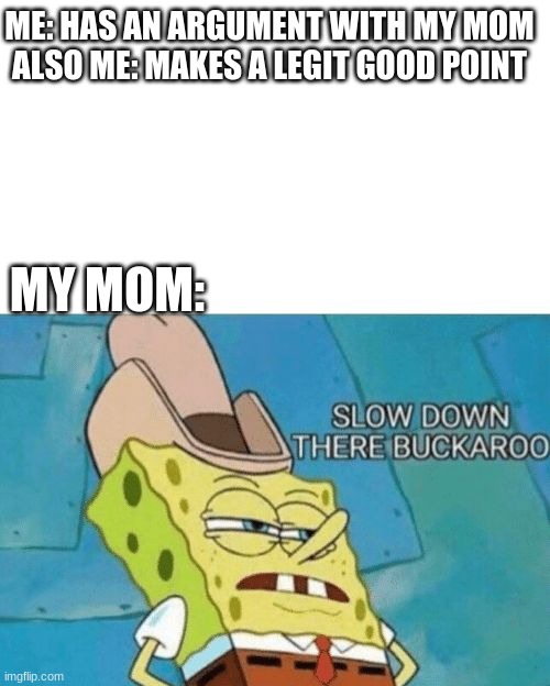 OH NO | ME: HAS AN ARGUMENT WITH MY MOM
ALSO ME: MAKES A LEGIT GOOD POINT; MY MOM: | image tagged in slow down there buckaroo,moms,oh crap,stop reading the tags,stahp | made w/ Imgflip meme maker