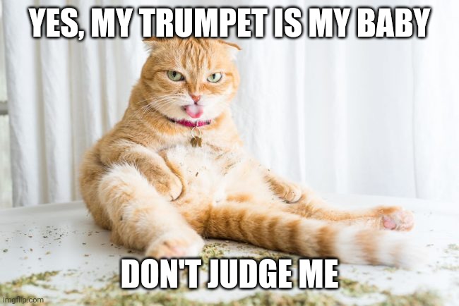 Don't Judge Me | YES, MY TRUMPET IS MY BABY; DON'T JUDGE ME | image tagged in don't judge me | made w/ Imgflip meme maker