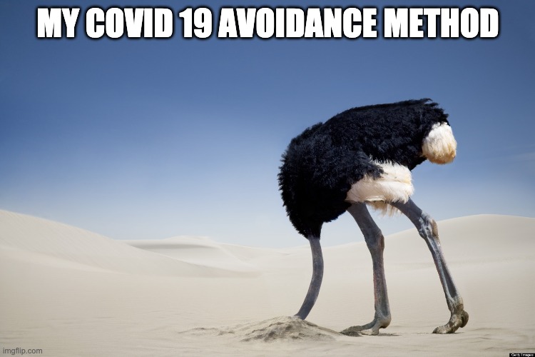 how to avoid covid19 | MY COVID 19 AVOIDANCE METHOD | image tagged in ostrich head in sand | made w/ Imgflip meme maker