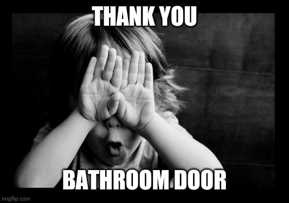THANK YOU BATHROOM DOOR | image tagged in hiding eyes | made w/ Imgflip meme maker