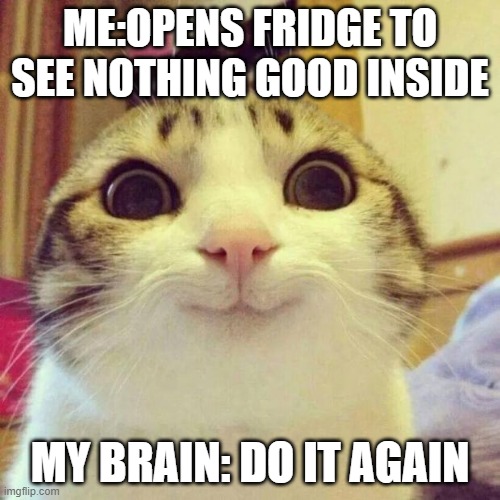 Smiling Cat | ME:OPENS FRIDGE TO SEE NOTHING GOOD INSIDE; MY BRAIN: DO IT AGAIN | image tagged in memes,smiling cat | made w/ Imgflip meme maker