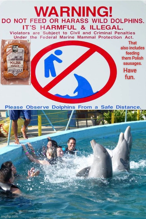 No feeding the dolphins | That also includes feeding them Polish sausages. Have fun. | image tagged in dolphins,dolphin,sausage,sausages,memes,meme | made w/ Imgflip meme maker