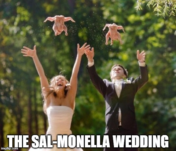 What's going on here | THE SAL-MONELLA WEDDING | image tagged in funny,wedding,chickens,bouquet,marriage | made w/ Imgflip meme maker
