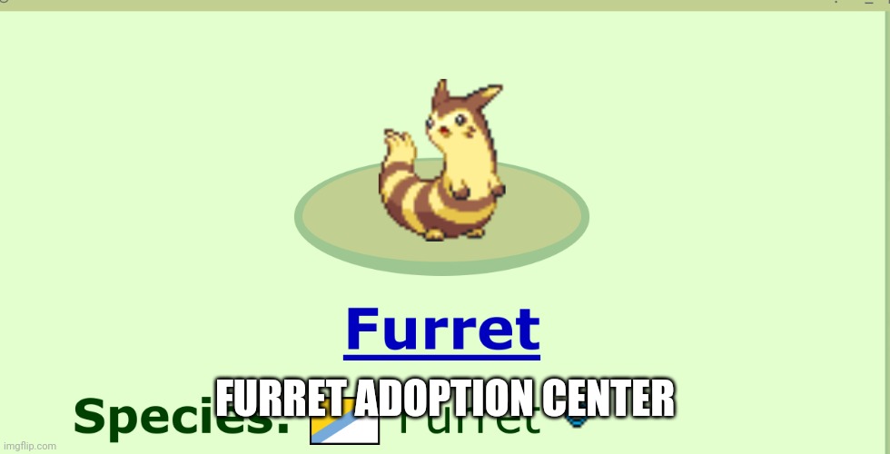 furret boi | FURRET ADOPTION CENTER | image tagged in furret boi | made w/ Imgflip meme maker