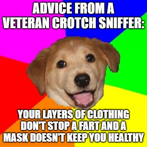 Advice Dog | ADVICE FROM A VETERAN CROTCH SNIFFER:; YOUR LAYERS OF CLOTHING DON'T STOP A FART AND A MASK DOESN'T KEEP YOU HEALTHY | image tagged in memes,advice dog | made w/ Imgflip meme maker