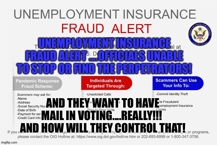 Fraud | UNEMPLOYMENT INSURANCE FRAUD ALERT ....OFFICIALS UNABLE TO STOP OR FIND THE PERPETRATORS! AND THEY WANT TO HAVE MAIL IN VOTING....REALLY!!!  AND HOW WILL THEY CONTROL THAT! | image tagged in voter fraud | made w/ Imgflip meme maker