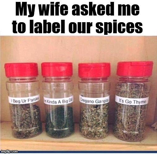 I am pretty sure I will not be asked to do that again. | My wife asked me to label our spices | image tagged in spice,labels,bad puns | made w/ Imgflip meme maker