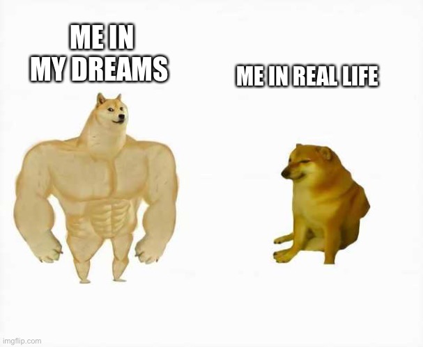 Strong dog vs weak dog | ME IN REAL LIFE; ME IN MY DREAMS | image tagged in strong dog vs weak dog | made w/ Imgflip meme maker